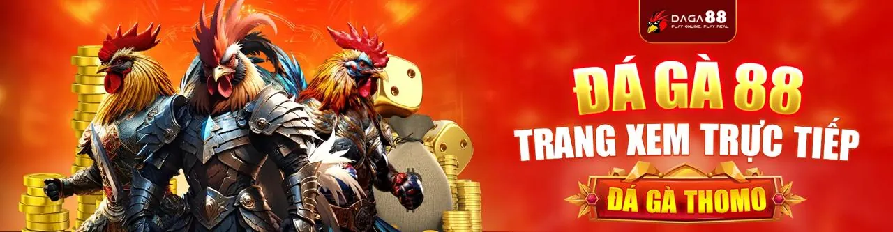 Cài đặt quyền riêng tư và cookie của người dùng trên 77vin chính thức