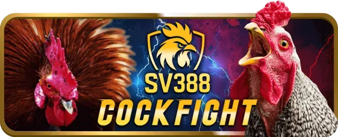 Chương trình giới thiệu bạn bè tại 77vin chính thức